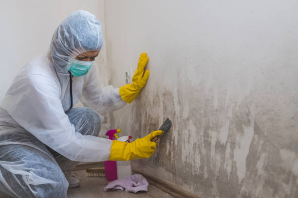 Best Residential Mold Inspection & Testing  in Duboistown, PA