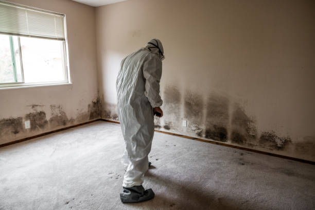 Best Real Estate Mold Inspection  in Duboistown, PA